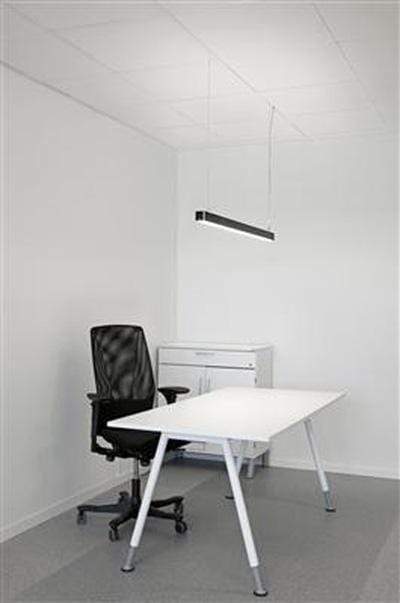 K1 Home Decore FAGERHULT MAMBA Pendant Light