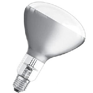 Halogen R125 R50 Bulb