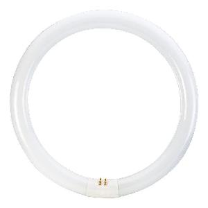 FL Circular T9 - DELIGHT OptoElectronics Pte. Ltd