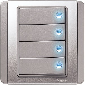 Flush Switches