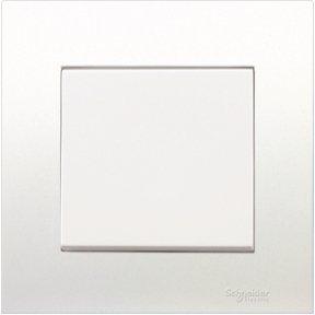 Schneider 10AX 250V Intermediate Switch - DELIGHT OptoElectronics Pte. Ltd