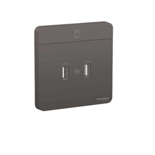 Schneider AvatarOn, 2 type A, 2.1 A USB charger, - DELIGHT OptoElectronics Pte. Ltd