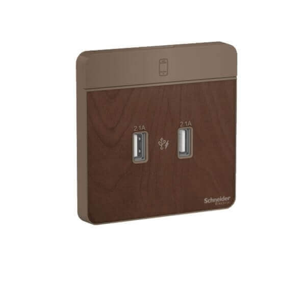 Schneider AvatarOn, 2 type A, 2.1 A USB charger, - DELIGHT OptoElectronics Pte. Ltd