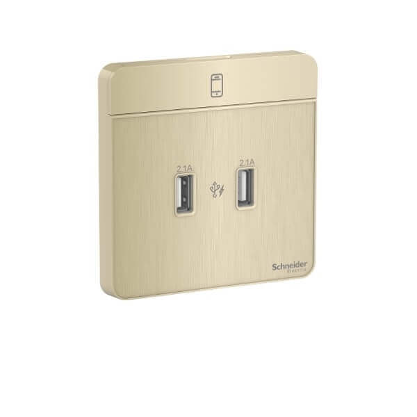 Schneider AvatarOn, 2 type A, 2.1 A USB charger, - DELIGHT OptoElectronics Pte. Ltd