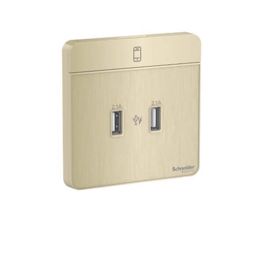 Schneider AvatarOn, 2 type A, 2.1 A USB charger, - DELIGHT OptoElectronics Pte. Ltd