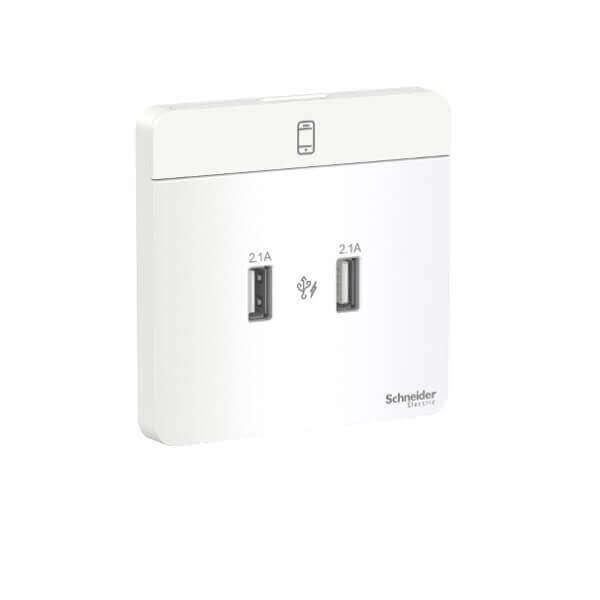 Schneider AvatarOn, 2 type A, 2.1 A USB charger, - DELIGHT OptoElectronics Pte. Ltd