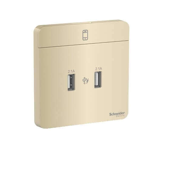 Schneider AvatarOn, 2 type A, 2.1 A USB charger, - DELIGHT OptoElectronics Pte. Ltd