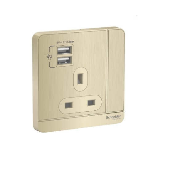 Schneider AvatarOn, 3P, 13A, 2 USB charger + switched socket - DELIGHT OptoElectronics Pte. Ltd