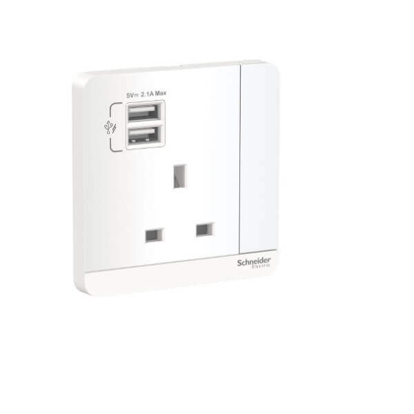 Schneider AvatarOn, 3P, 13A, 2 USB charger + switched socket - DELIGHT OptoElectronics Pte. Ltd