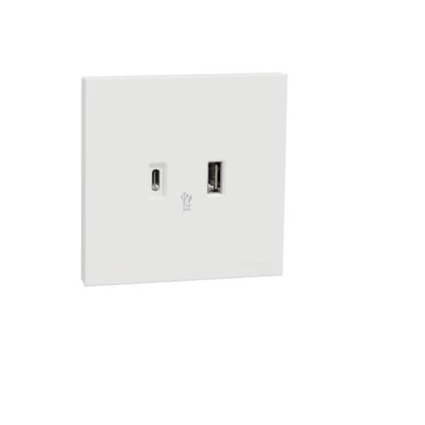 Schneider AvatarOn C, 21 W, Type A+C, USB Charger, - DELIGHT OptoElectronics Pte. Ltd